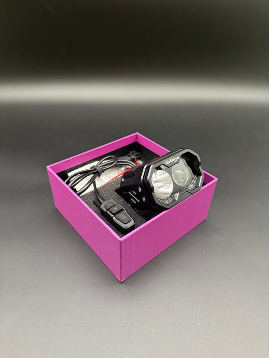 Surron Light Bee Gigigo Gi02-S Black Headlight & Light Switch