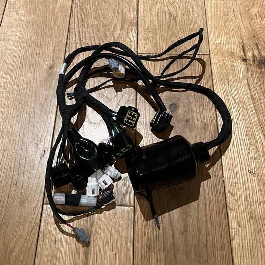 Surron Wiring Loom (OffRoad Version)